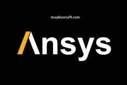 ANSYS 19.4 Crack